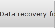 Data recovery for West Lansing data